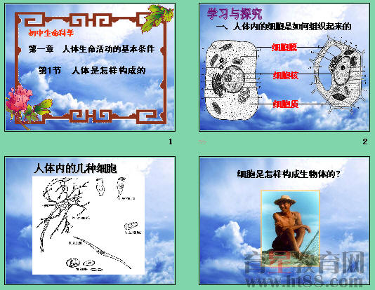 鿴Ԥͼ
