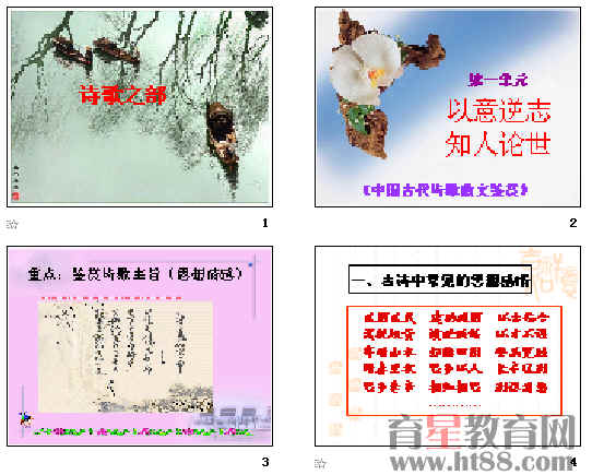 �鿴Ԥ��ͼ