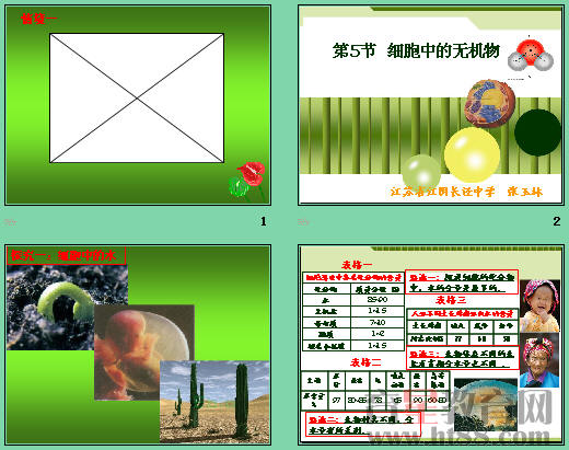 鿴Ԥͼ