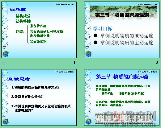 鿴Ԥͼ