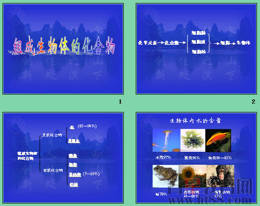 鿴Ԥͼ