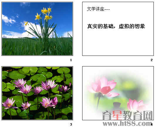 鿴Ԥͼ