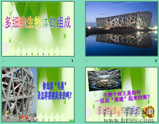 鿴Ԥͼ
