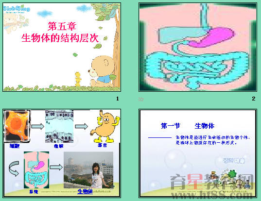 鿴Ԥͼ