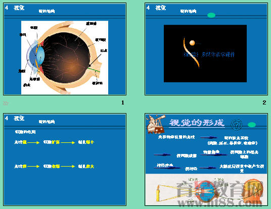 鿴Ԥͼ