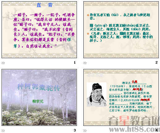 �鿴Ԥ��ͼ
