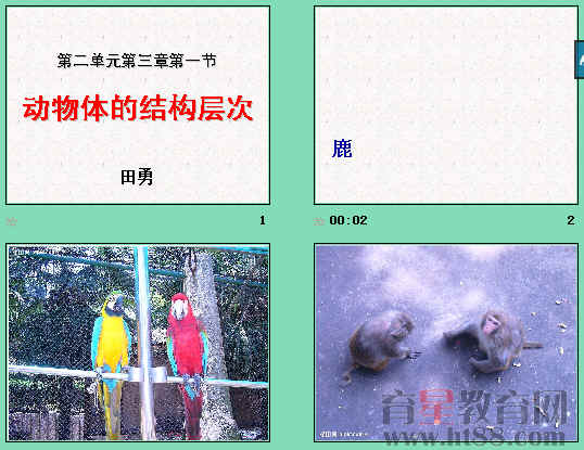 鿴Ԥͼ