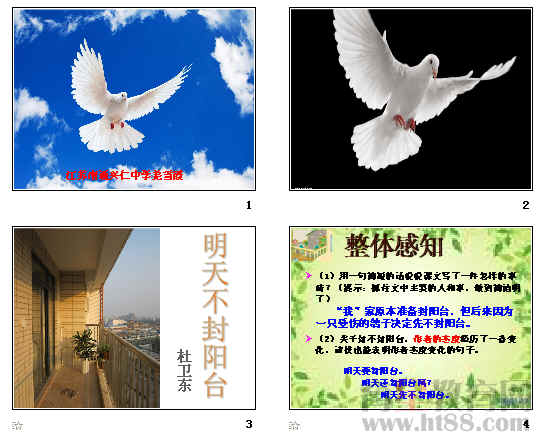 �鿴Ԥ��ͼ