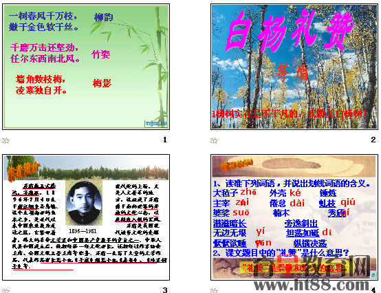 查看预览图