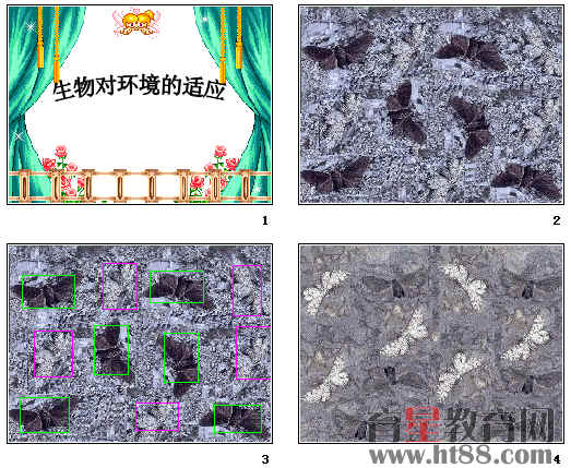 鿴Ԥͼ