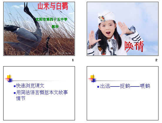 �鿴Ԥ��ͼ