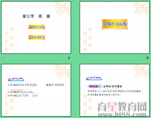 鿴Ԥͼ