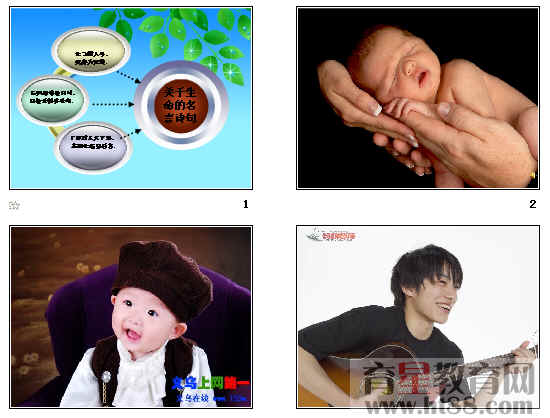 查看预览图