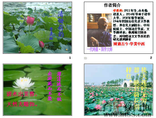 �鿴Ԥ��ͼ