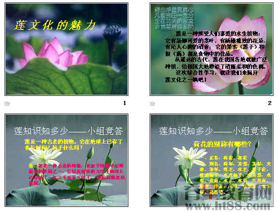 �鿴Ԥ��ͼ