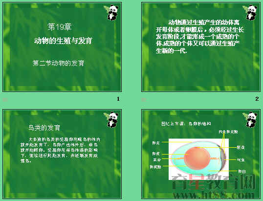 鿴Ԥͼ