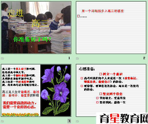�鿴Ԥ��ͼ