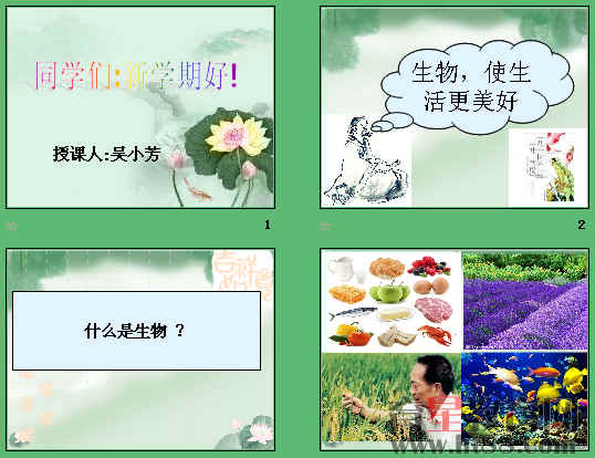 鿴Ԥͼ