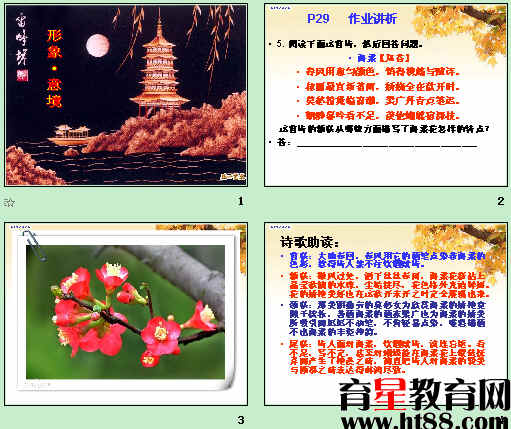 鿴Ԥͼ