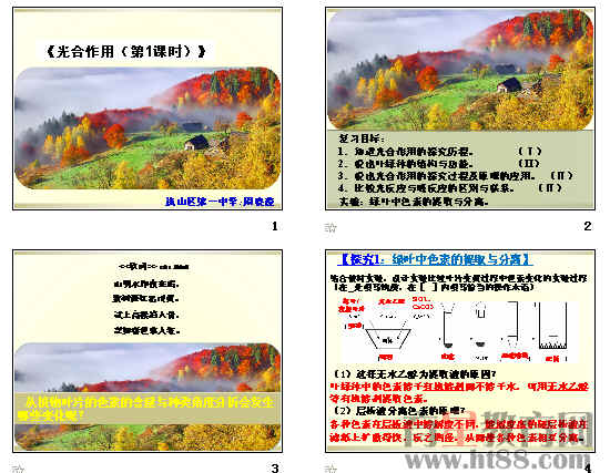 鿴Ԥͼ