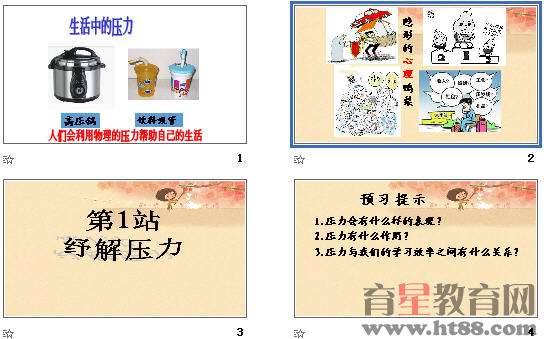查看预览图