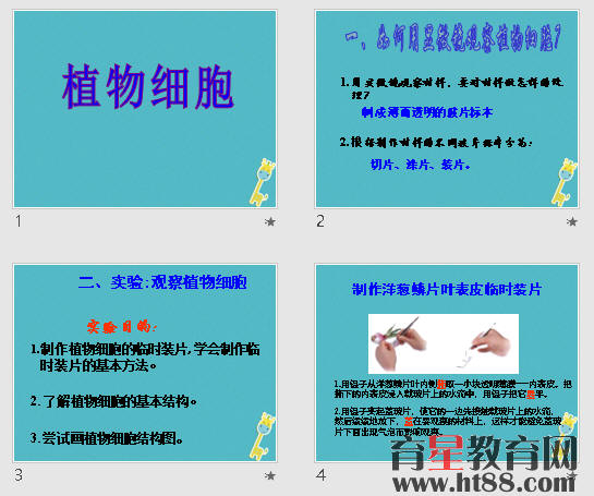 鿴Ԥͼ