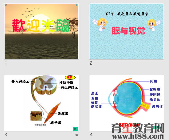 鿴Ԥͼ