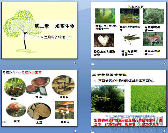 鿴Ԥͼ