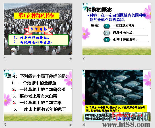 鿴Ԥͼ